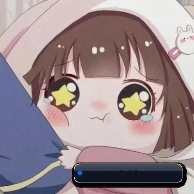 跨洋追星